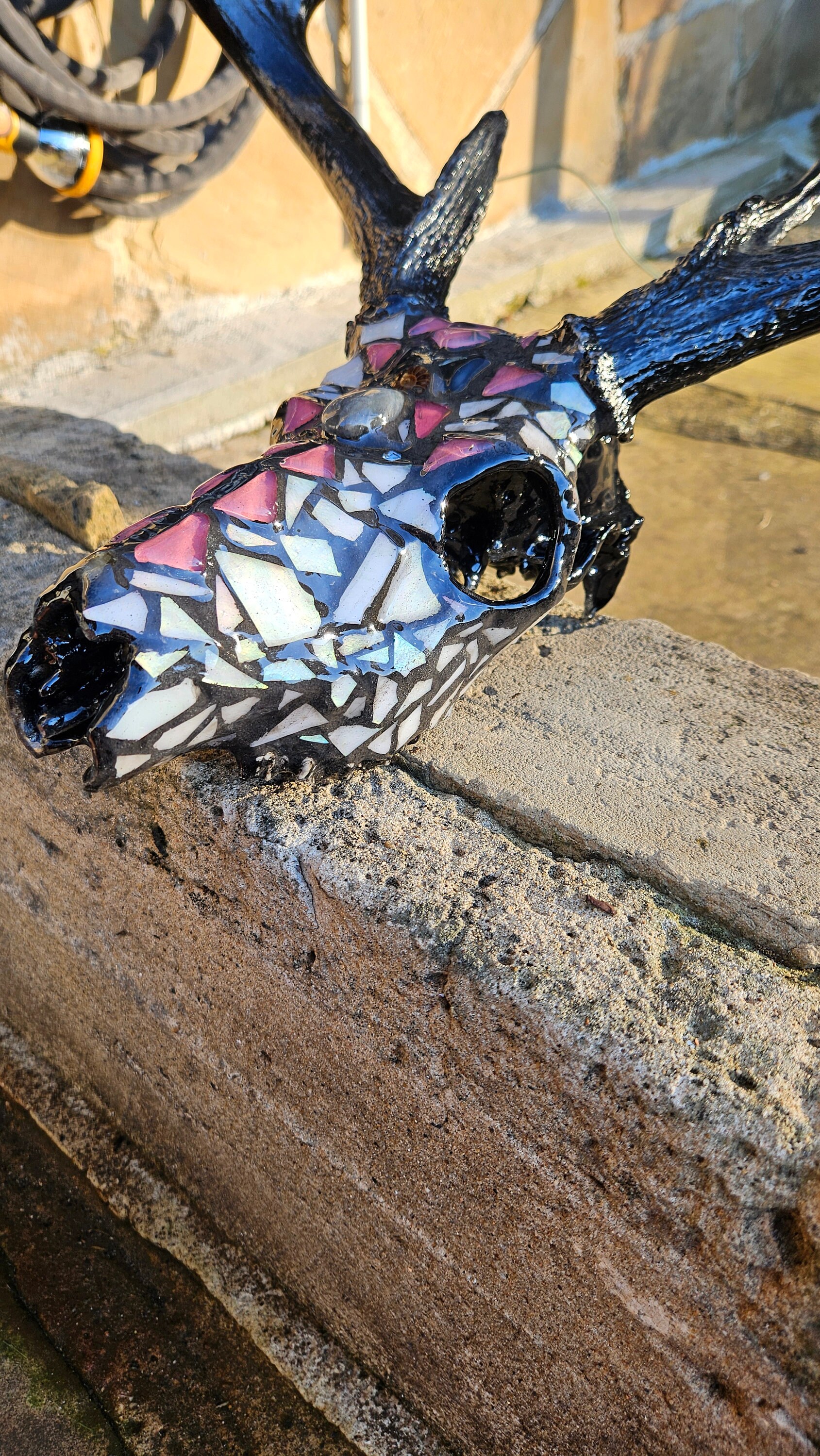 希少 Acq deer skull 　壁掛け　コンクリート製オマケ付き 希少 Acq deer skull 壁掛け コンクリート製オマケ付き 【公式通販】