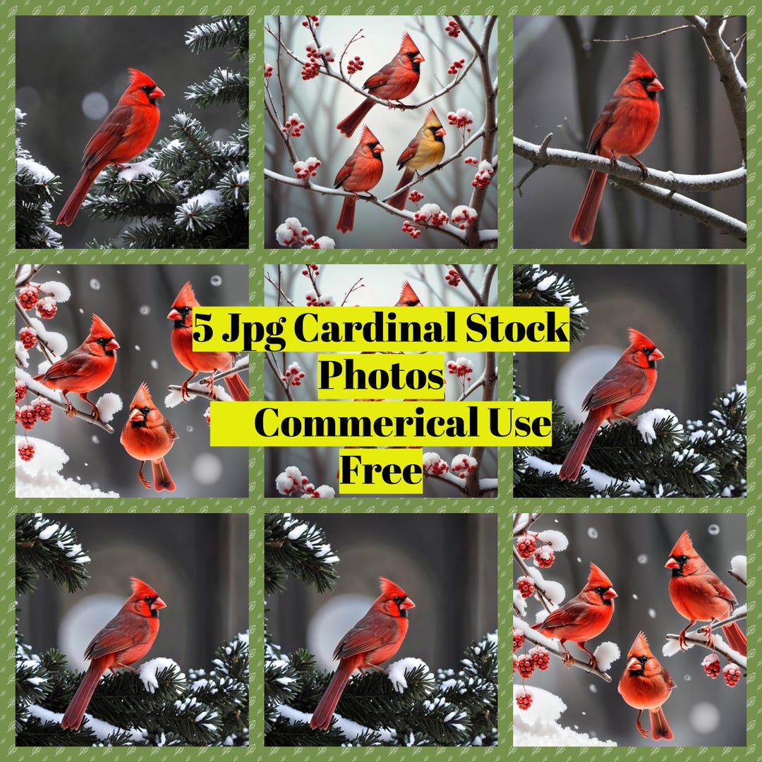 Cardinal Stock Bundle - Background - Card Making - Free Commerical Use ...