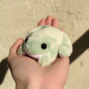 Baby Beanie Frog Plushie - Mini Beanie Frog, Multiple Colors, Handmade Frog Plushie, Sensory Toy, Fidget Toy, Stress Toy, Pocket Frog