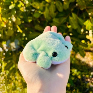 Baby Weighted Frog Plushie - Mini Beanie Frog, Multiple Colors, Handmade Frog Plushie, Sensory Toy, Fidget Toy, Stress Toy, Pocket Frog