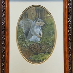 Adorable Original Watercolour Study Of A Grey Squirrel - Stunning Quality Frame
