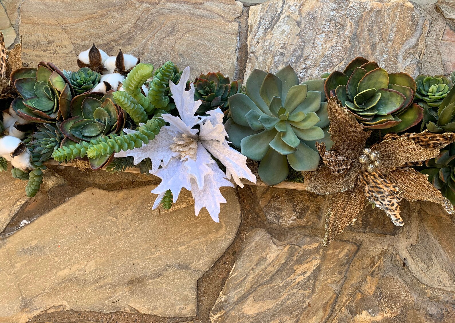 Succulent Arrangement Etsy