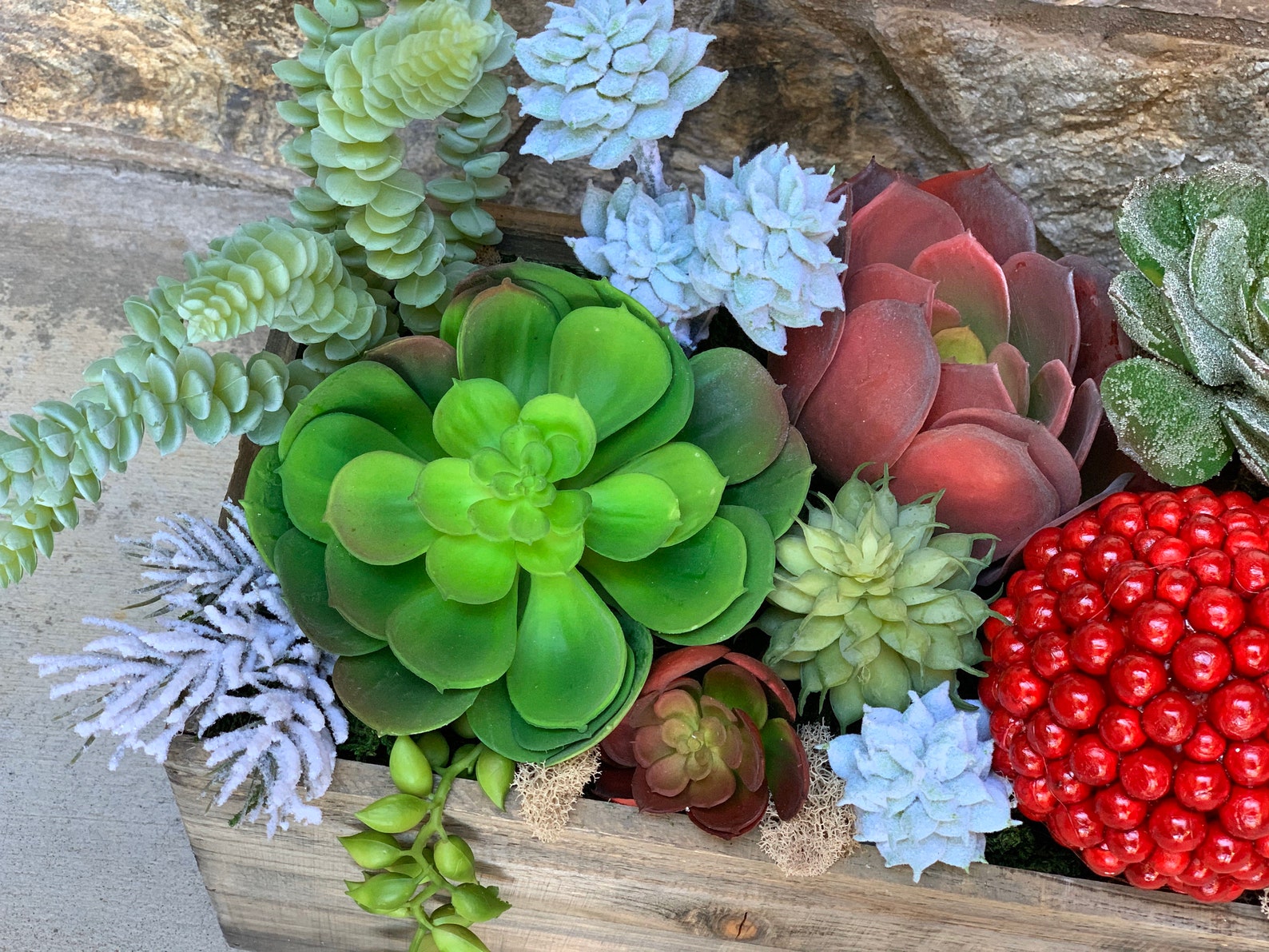 Christmas Succulent Etsy