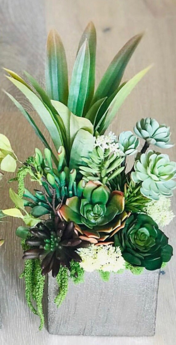 Artificial Succulent Arrangement Etsy