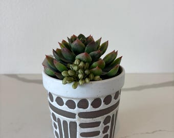Artificial Succulent Arrangement