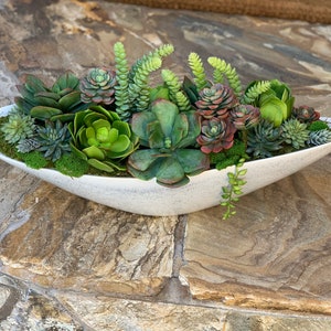 Succulent Arrangement