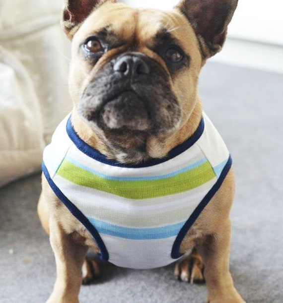 french bulldog winter coat with harness