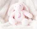 Personalised First Birthday Gift Birthday Soft Toy Keepsake, Name Bunny Grand son Grand daughter Niece Nephew 1st Birthday Gift Idea product logo