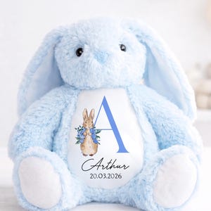 Personalised Teddy New Baby Gift , Baby Shower, New Parents, Gifts for Grandchildren, Baby Boy, Baby Girl, Bunny Rabbit, Custom Name
