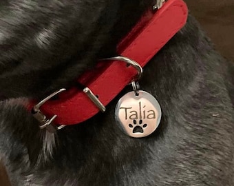 Médaille identification animaux