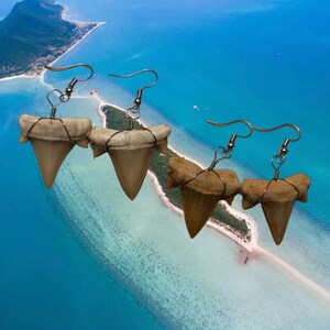 Fossilized Shark Tooth Earrings