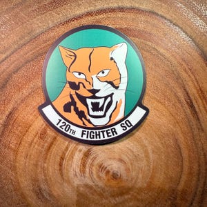 Puede incluir: Una pegatina redonda verde, blanca y naranja con la cara de un tigre gruñendo y el texto "120th Fighter SQ".