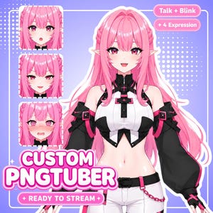 Custom PNGTuber Model| Ready to Stream Avatar, Vtube Mini