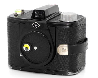 Camera#obscura#Lomography#Pinhole#Agfa_Clack#6x9cm_film_camera_w/a 70mm, f/350#self_made