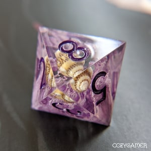 May include: A purple and clear resin dice with a seashell embedded inside. The dice has the numbers 2, 8, and 9 visible.