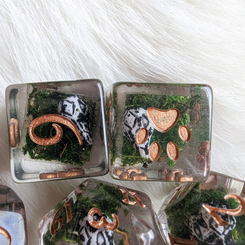 May include: Clear resin dice with copper-colored numbers and accents. Each die features a miniature scene with green moss, a black and white patterned object, and a copper-colored paw print or number. The dice are set against a white, fluffy background.