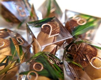 May include: Close-up of several clear resin dice with embedded natural elements. Each die features a different number in a copper color, along with dried leaves and green foliage. The dice are designed for tabletop gaming.