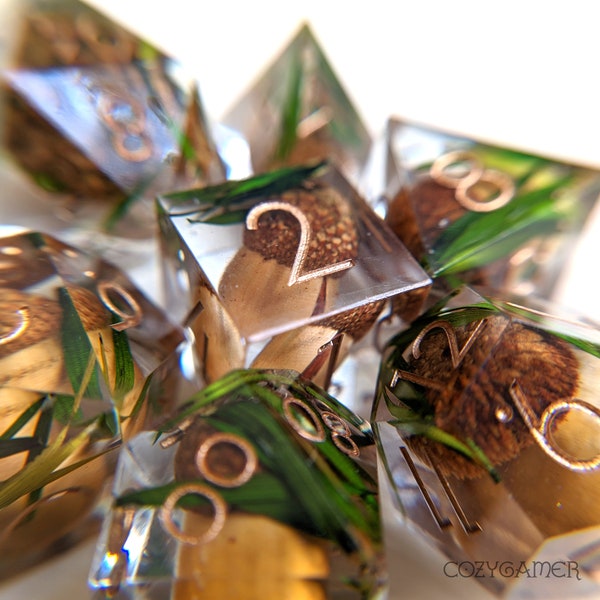Acorn DnD Dice Set, D&D dice, Sharp Edge Dice, Dungeons and Dragons, real plant dice, nature dice, polyhedral dice, D20 TTRPG, trees, seeds