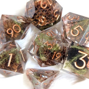 Puede incluir: Un juego de siete dados poliédricos transparentes. Cada dado tiene números color cobre y está relleno de elementos naturales como piñas y vegetación. Diseñado para juegos de mesa.