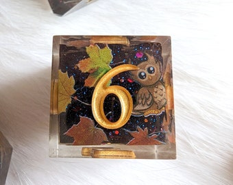 May include: A clear resin cube with a gold glitter background and a gold number six. The cube also features a brown owl with a black and white pattern and a fall leaf design.