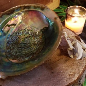 Abalone Smudging Shell