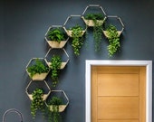 Gold Indoor Wall Planter Hanging Plant Modular Home Decor Geometric Terrarium UK Made Design Your Own Display Air Plant Holder