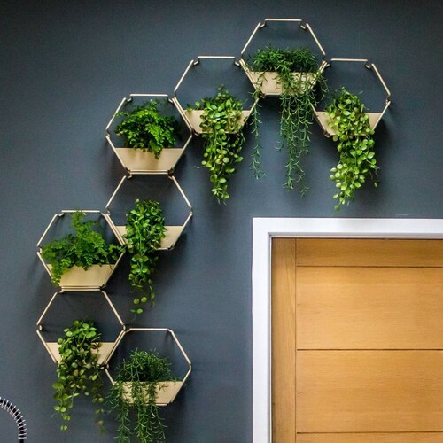 Gold Indoor Wall Planter Hanging Plant Modular Home Uk - What To Plant In Wall Planters Gold Indoor Wall Planter Hanging Plant Modular Home Uk - What To Plant In Wall Planters