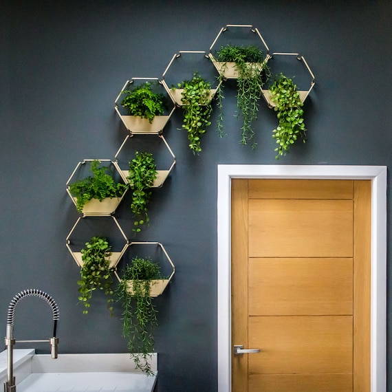 natural plant fertilizer houseplants GS Plant Foods Game Changer All-Purpose Essentials main image 0