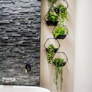 Black Hexagonal Wall Planter | Indoor Herb Garden, Air Plant Holder