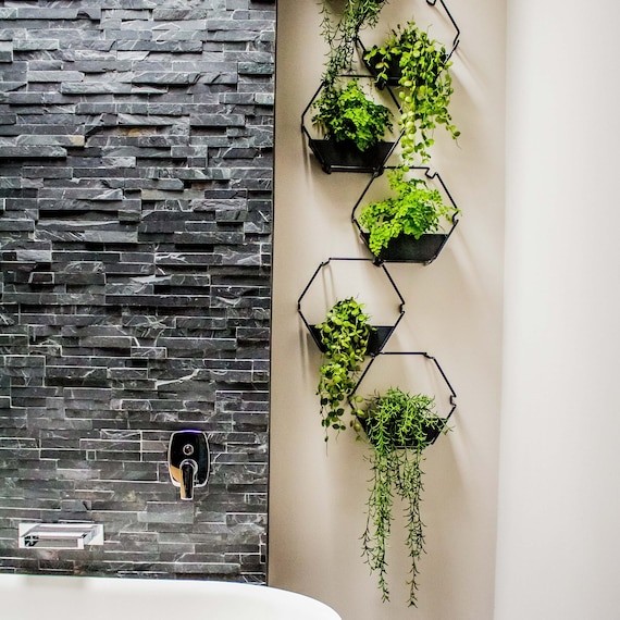 BLACK Indoor Living Wall Herb Garden Wall Planter Hexagonal