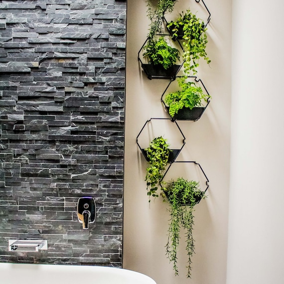 indoor living wall planters