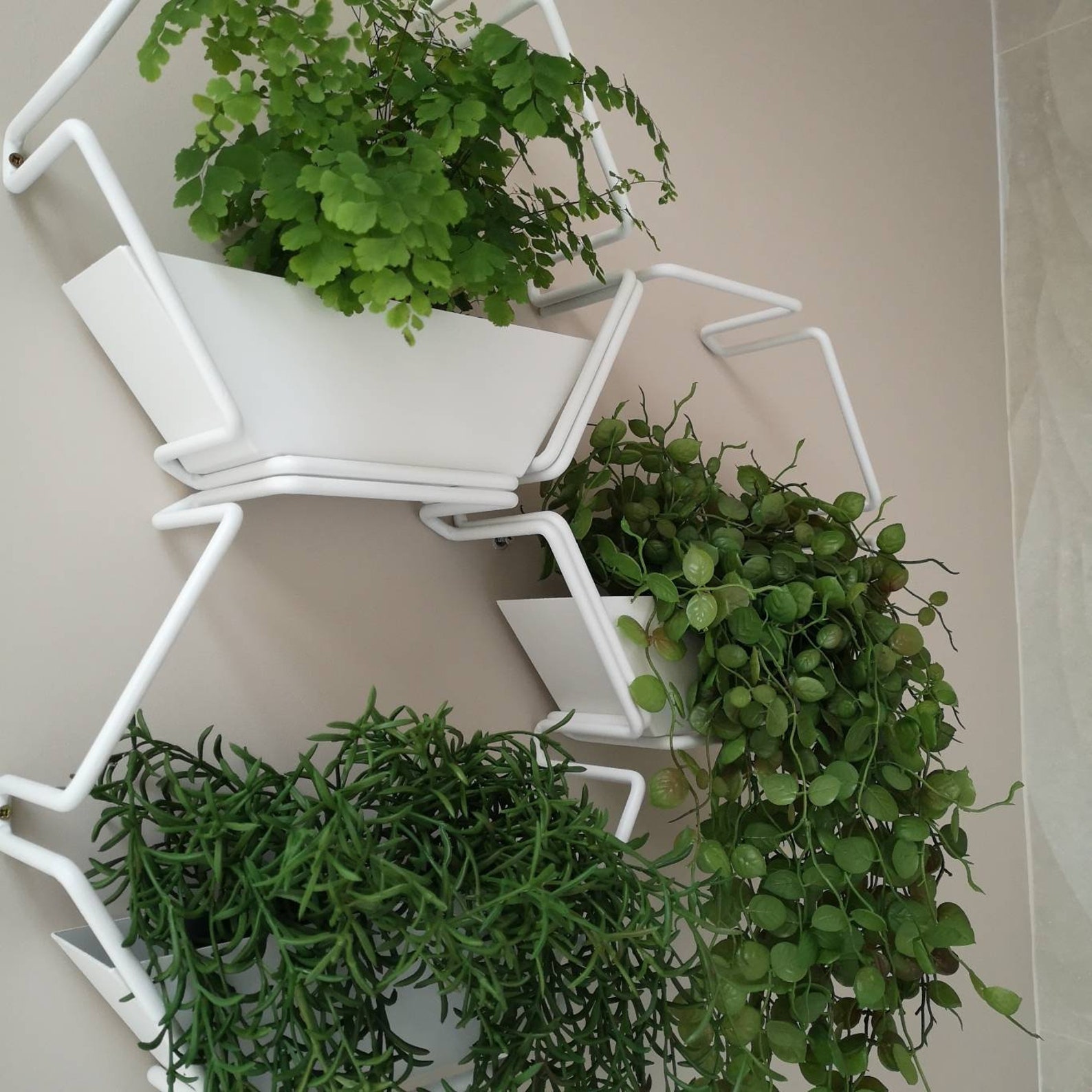 White Wall Planter Indoor Living Wall Modular Feature Etsy Ireland