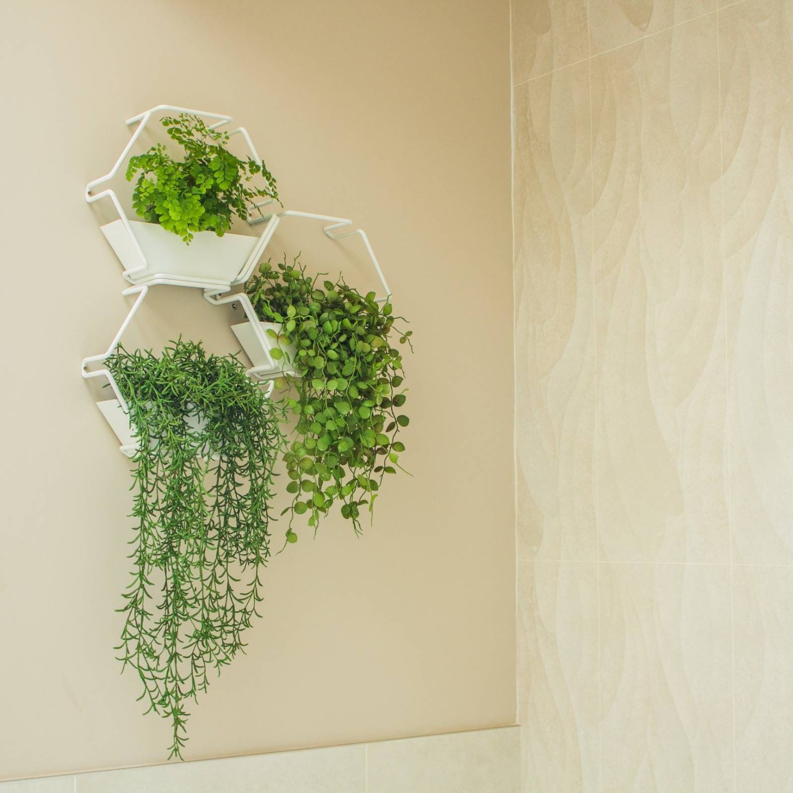 Indoor Wall Planters Hanging Wall Planter Hexagon Modules Etsy