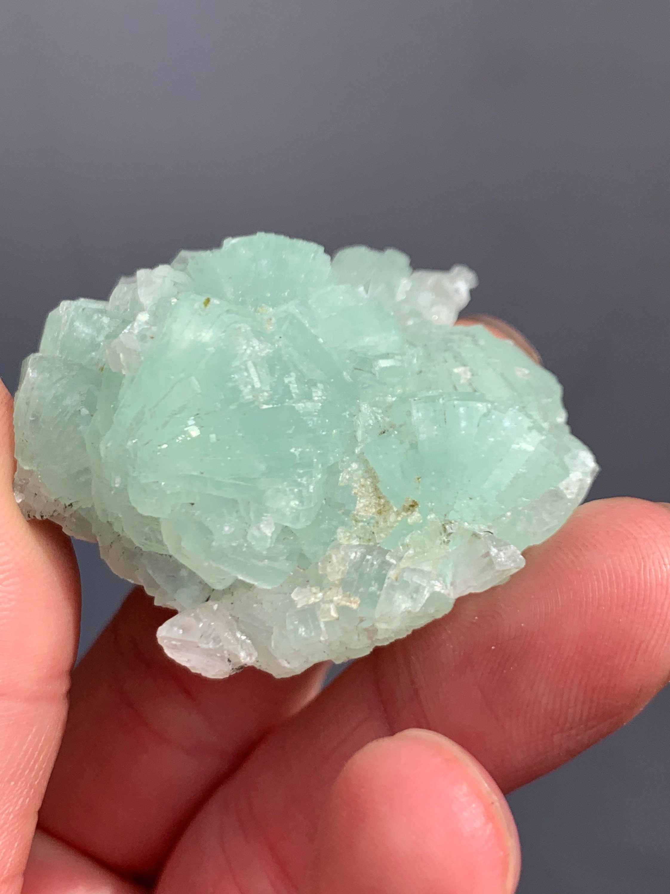 Mint Green Prehnite Crystal Brandberg Region Namibia Etsy