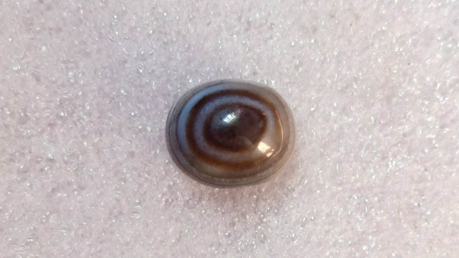 Hermoso ojo de toro con bandas naturales / ojo de cabra / | Etsy