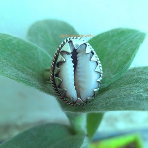 May include: A silver ring with a white cowrie shell set in the center. The ring is on a green leaf.