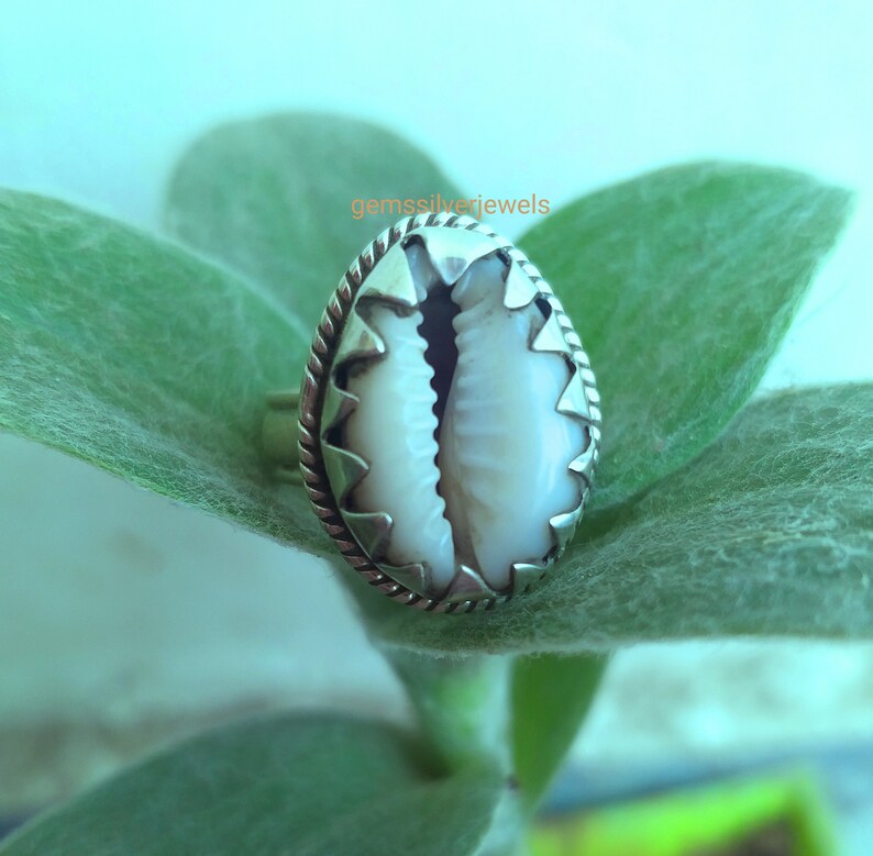May include: A silver ring with a white cowrie shell set in the center. The ring is on a green leaf.
