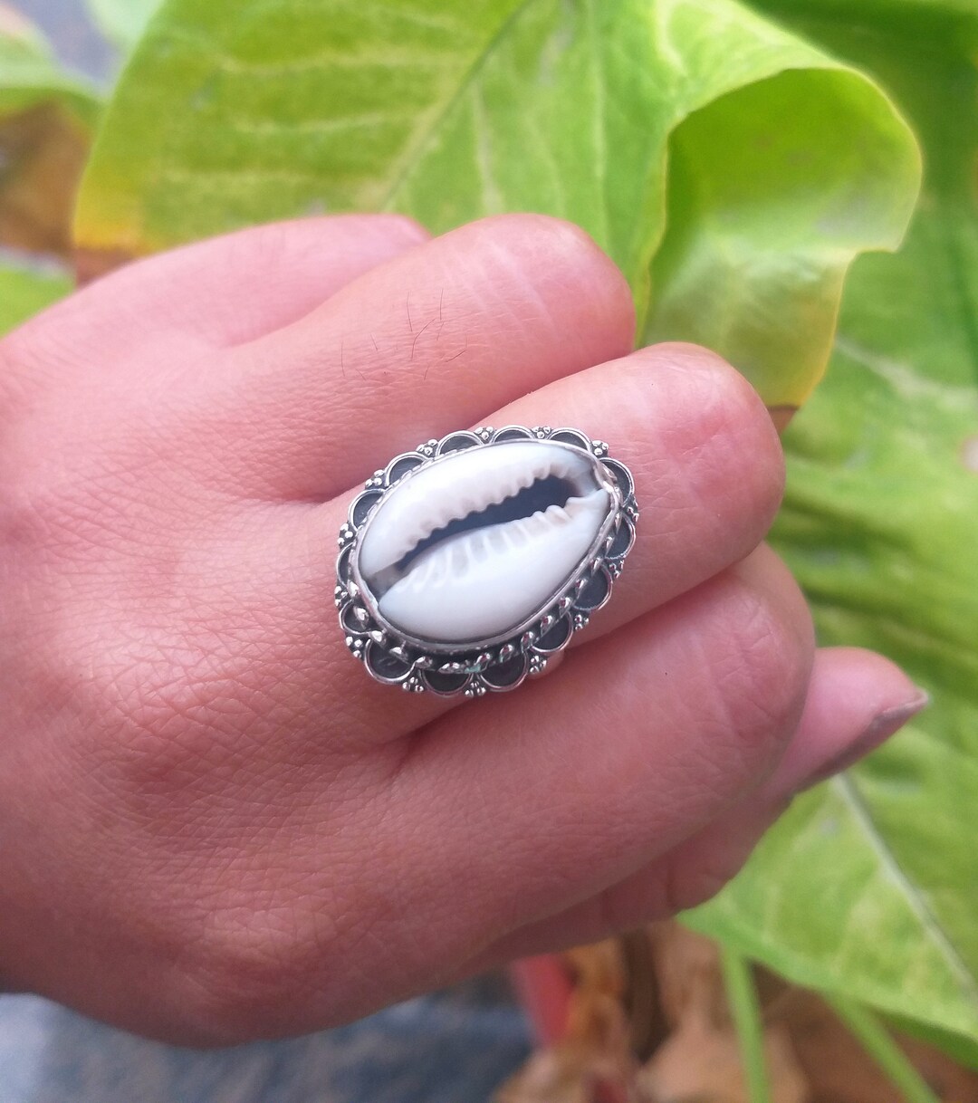 Natural Money Cowrie Sea Shell Ring 92.5 Silver Ring Etsy
