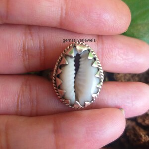 May include: A silver ring with a white cowrie shell set in the center. The shell is surrounded by a silver border with a decorative design.