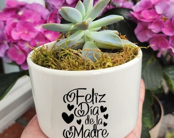 May include: A white ceramic planter containing a light green succulent plant nestled in brown moss. The front of the planter features black text that reads "Feliz Día de la Madre" surrounded by several small black heart icons of varying sizes.