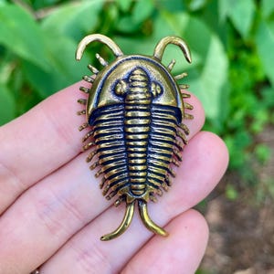 Solid Brass Trilobite – Symbol of Ancient Wisdom, Resilience & Evolution - D13
