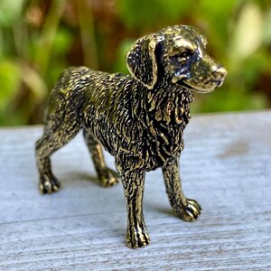 Solid Brass Labrador Retriever Dog – Symbol of Loyalty, Friendliness & Service - A51