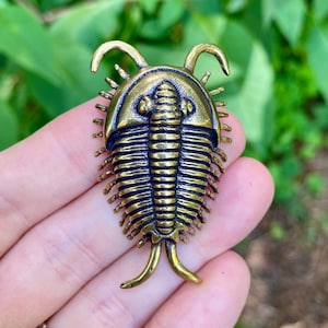 Solid Brass Trilobite – Symbol of Ancient Wisdom, Resilience & Evolution - A36