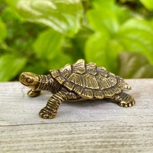 Tortuga mordedora de latón macizo - Símbolo de paciencia y de seguir tu camino - E1