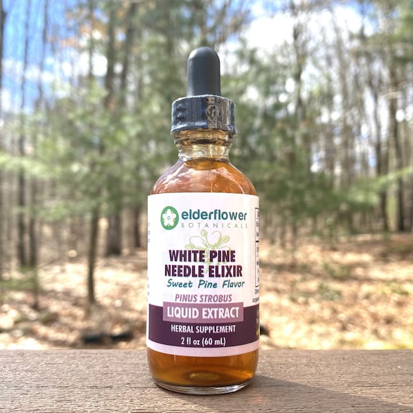 White Pine Needle Elixir | Sweet Extract | Shikimic Acid | Organic Tincture | Sugar Free | Pinus Strobus