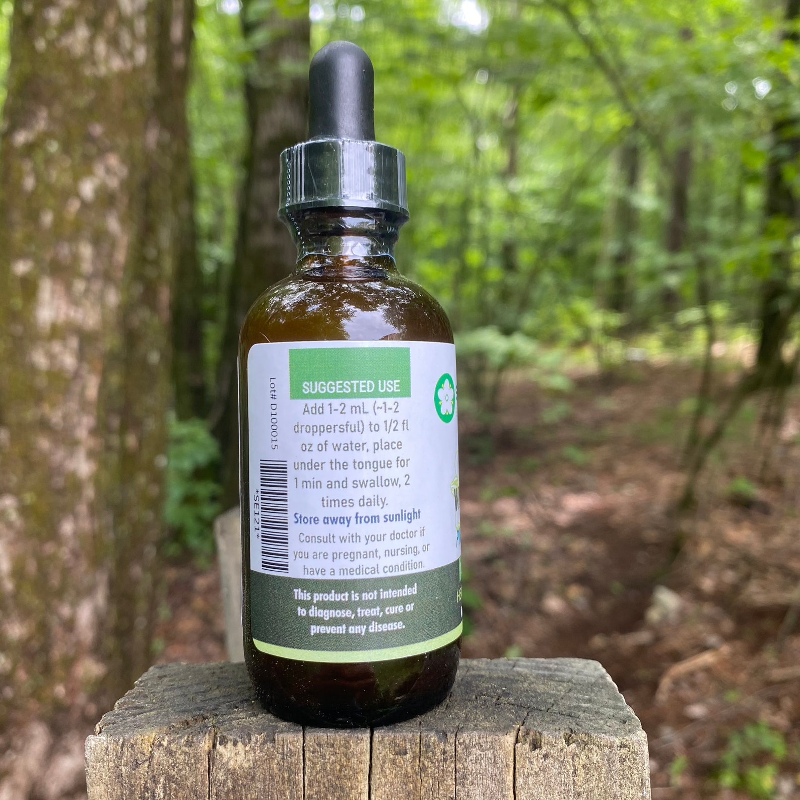 White Pine Needle Extract Tincture Concentrated Organic Etsy
