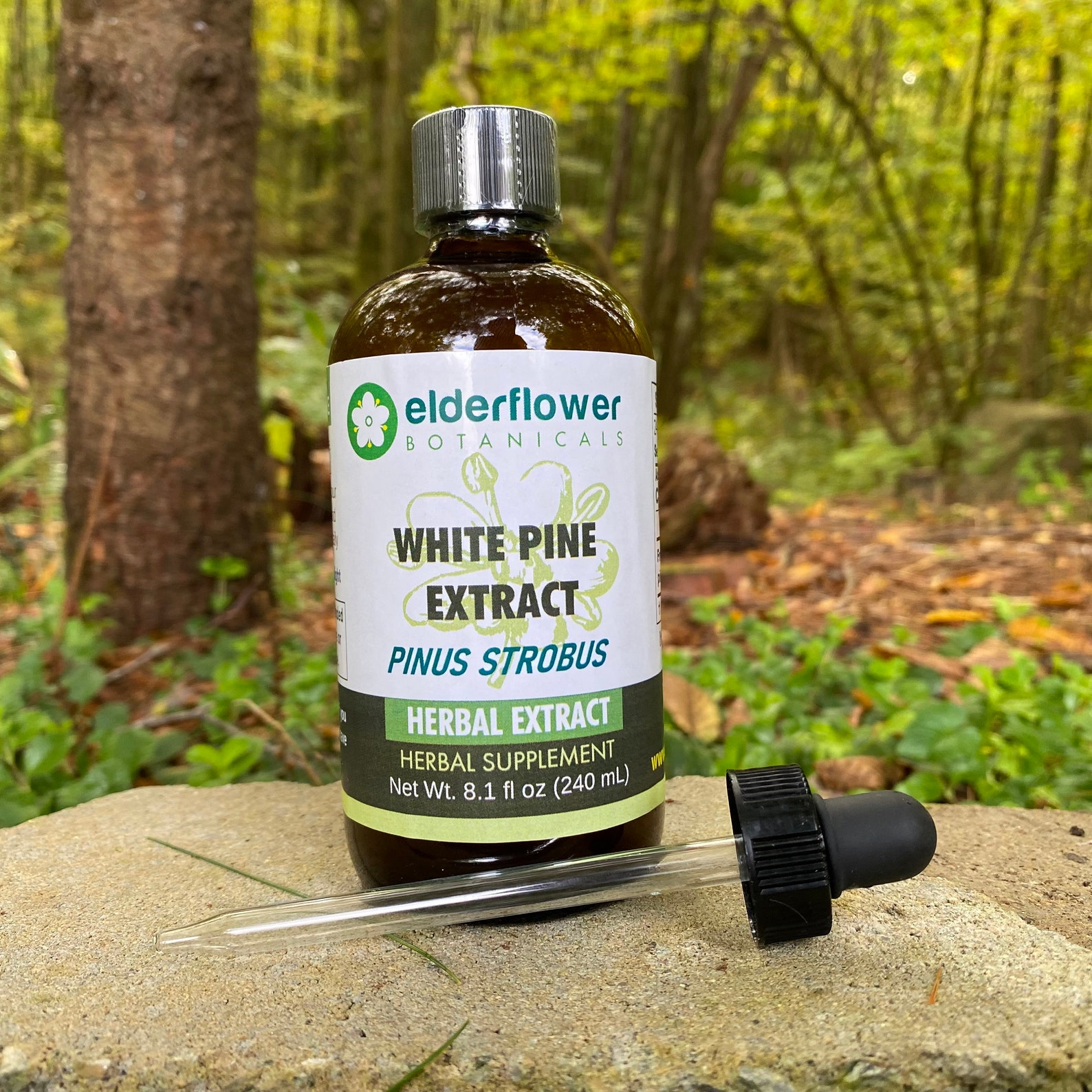 White Pine Needle Extract Pure Organic Concentrated Etsy UK