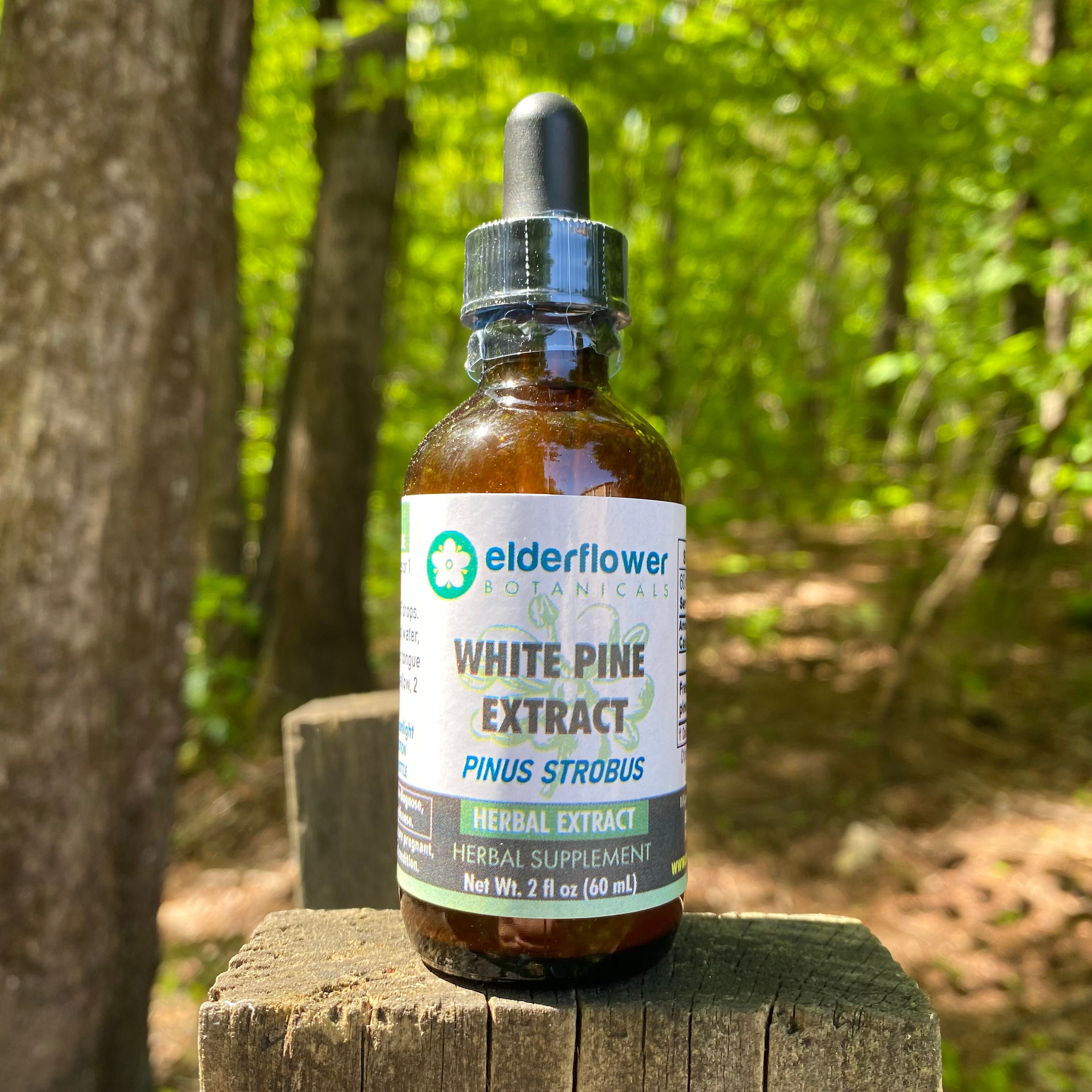 White Pine Needle Extract Shikimic Acid Organic Tincture Etsy Australia