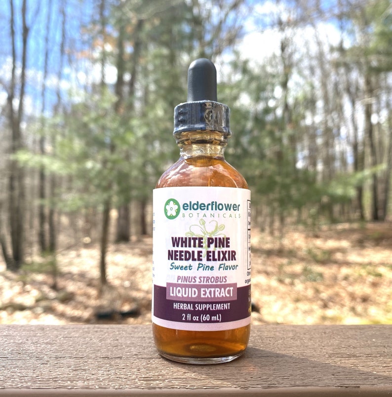 White Pine Needle Elixir Sweet Extract Shikimic Acid Organic Tincture Sugar Free Pinus Strobus