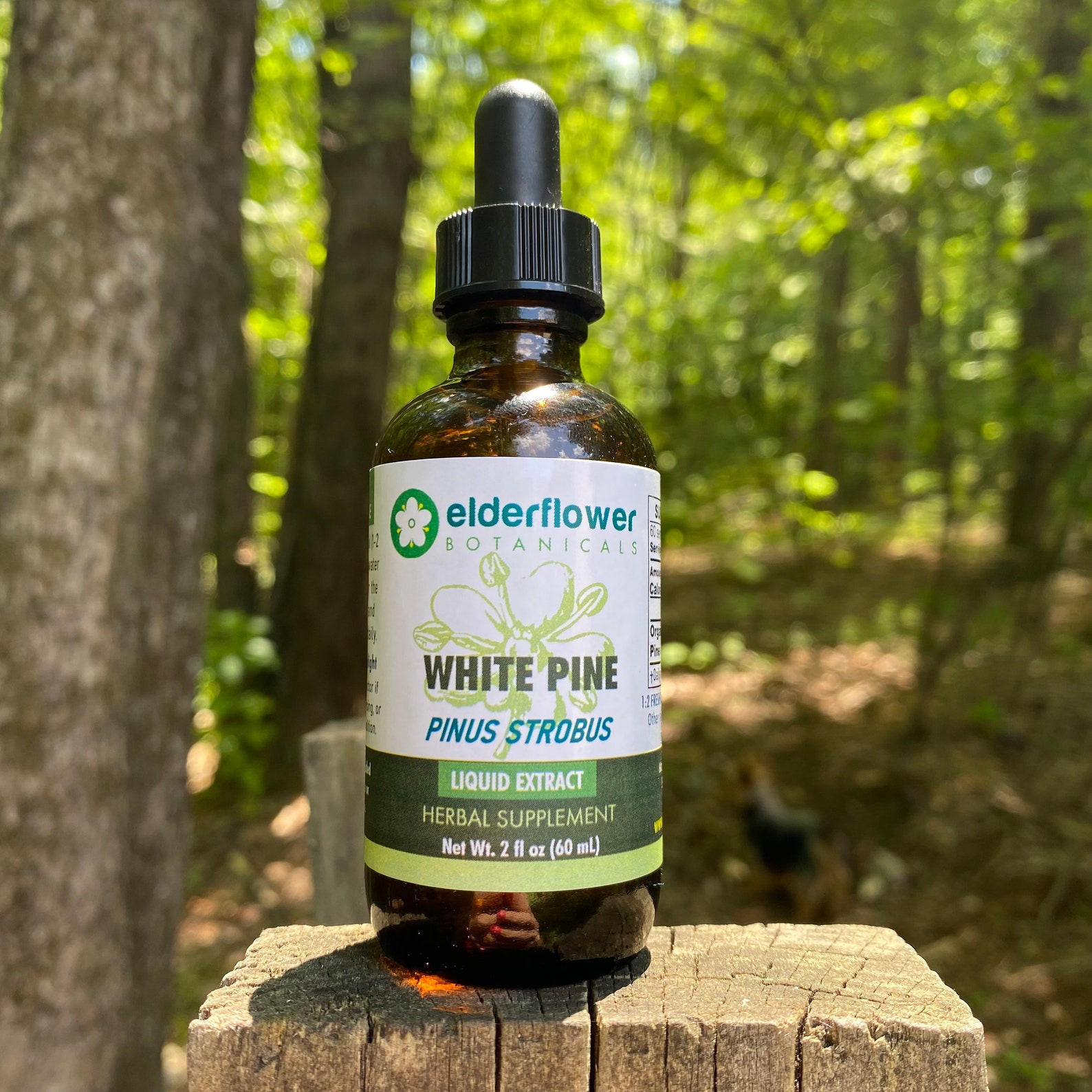 How To Take Pine Needle Tincture